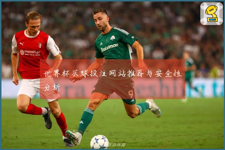 世界杯买球投注网站推荐与安全性分析