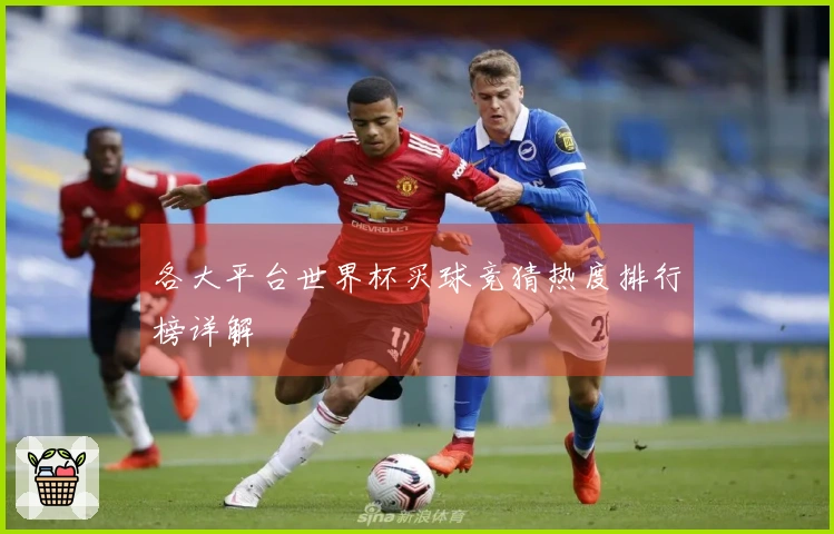 各大平台世界杯买球竞猜热度排行榜详解