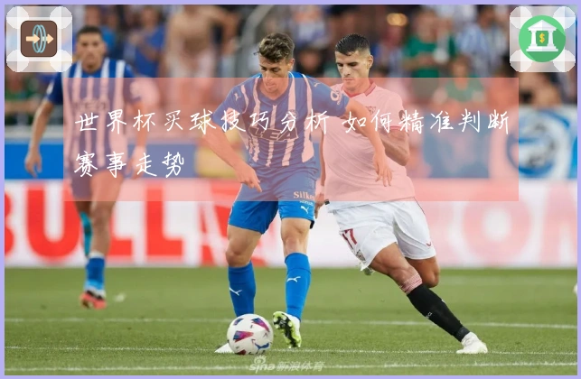 世界杯买球技巧分析 如何精准判断赛事走势