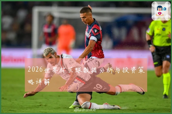 2026世界杯买球数据分析与投资策略详解