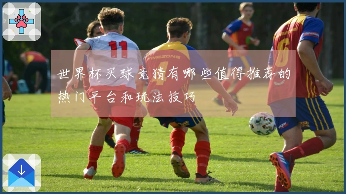 世界杯买球竞猜有哪些值得推荐的热门平台和玩法技巧