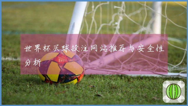 世界杯买球投注网站推荐与安全性分析