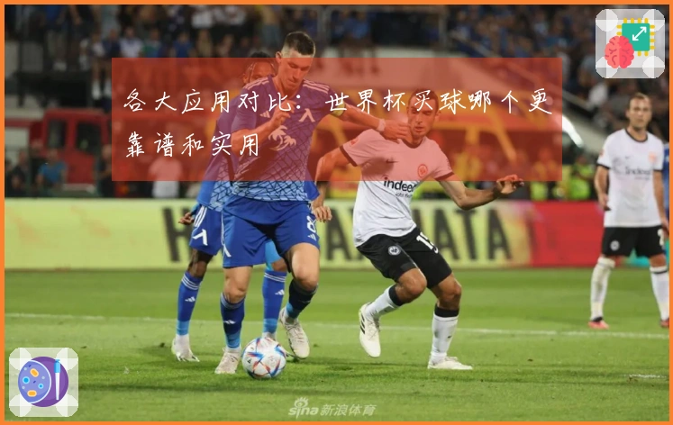 各大应用对比：世界杯买球哪个更靠谱和实用