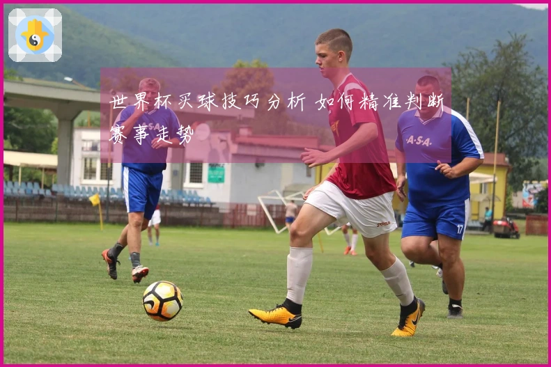 世界杯买球技巧分析 如何精准判断赛事走势