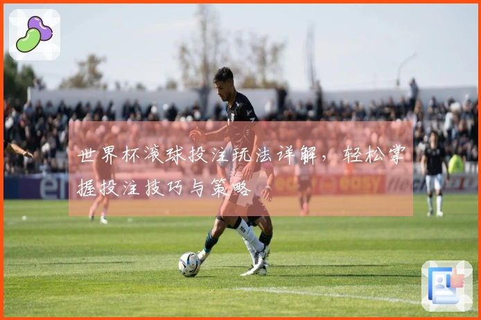 世界杯滚球投注玩法详解，轻松掌握投注技巧与策略