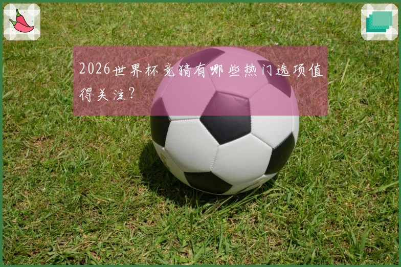 2026世界杯竞猜有哪些热门选项值得关注？