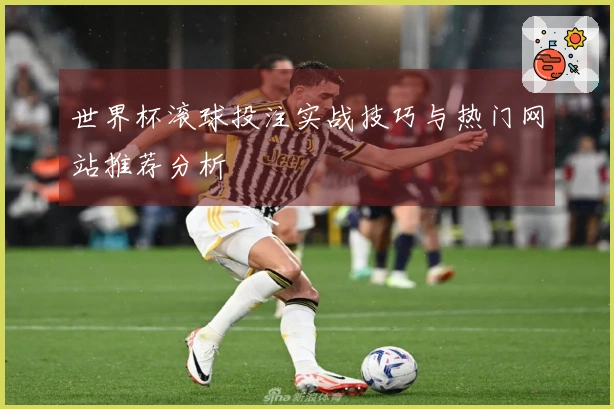 世界杯滚球投注实战技巧与热门网站推荐分析