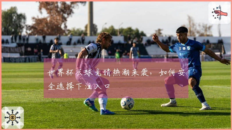 世界杯买球竞猜热潮来袭，如何安全选择下注入口