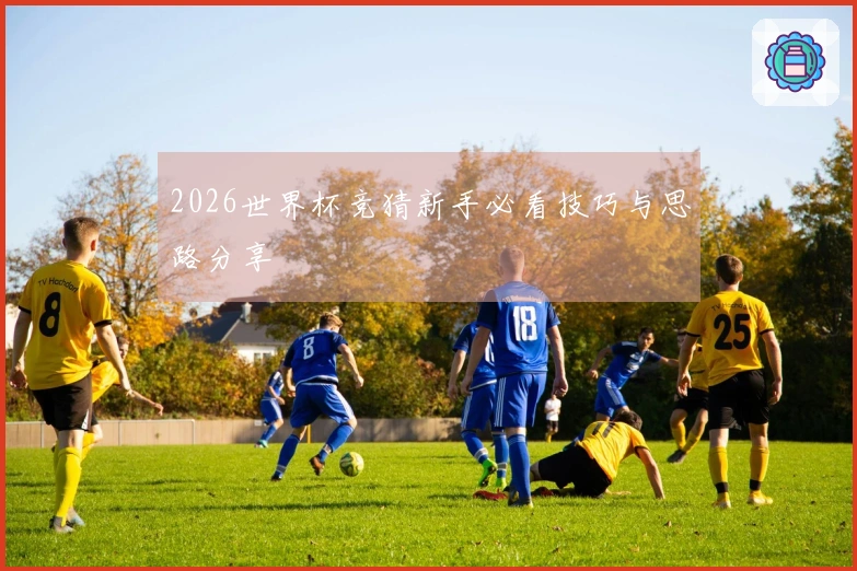 2026世界杯竞猜新手必看技巧与思路分享
