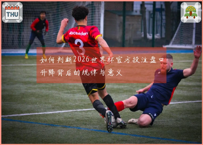 如何判断2026世界杯官方投注盘口升降背后的规律与意义